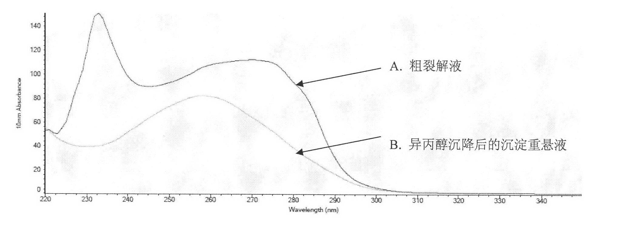 CpG oligonucleotide possessing immune enhancement activity to aquatic livestock, its preparation method and its application