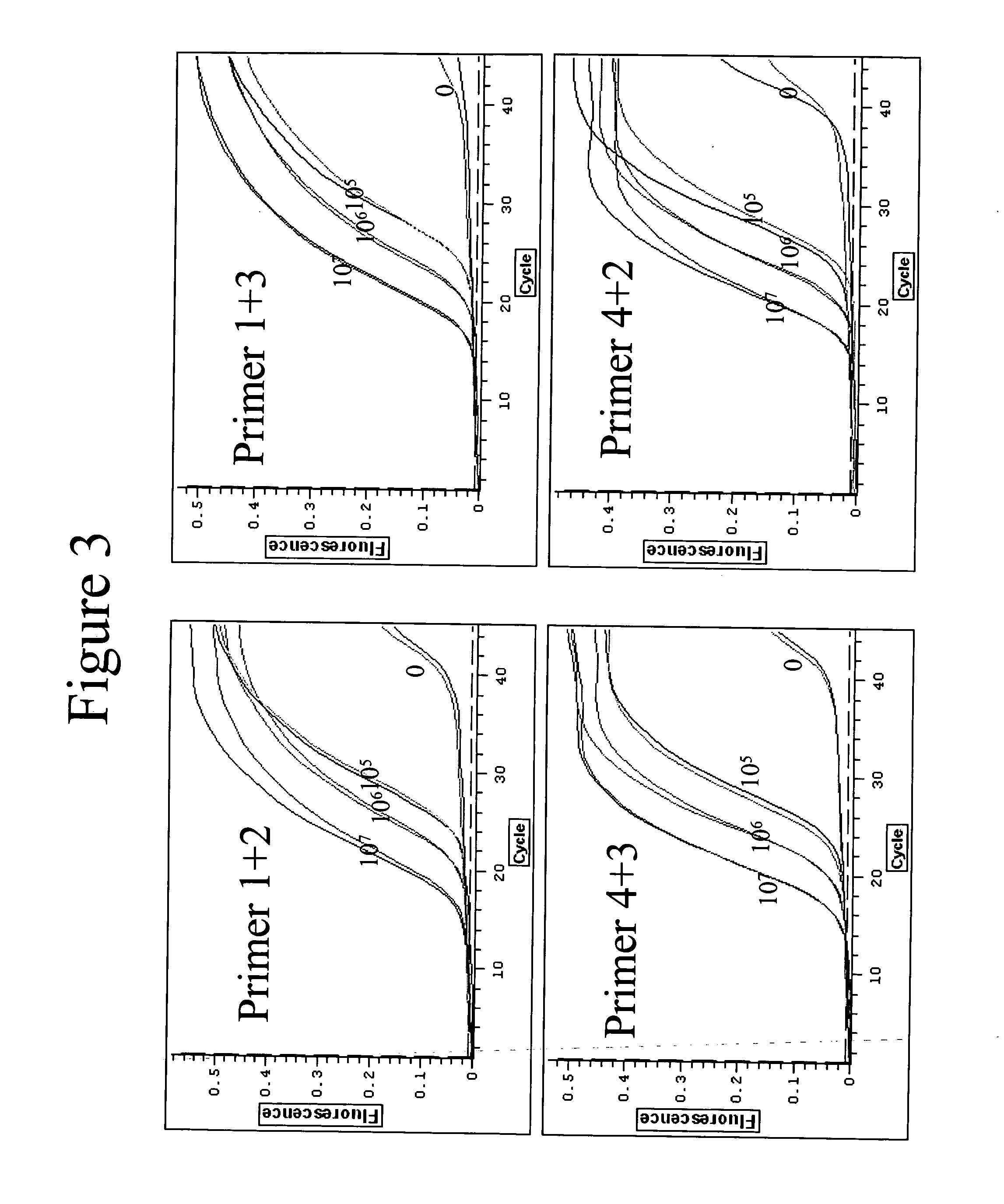 Quantitative amplification with a labeled probe and 3' to 5' exonuclease activity