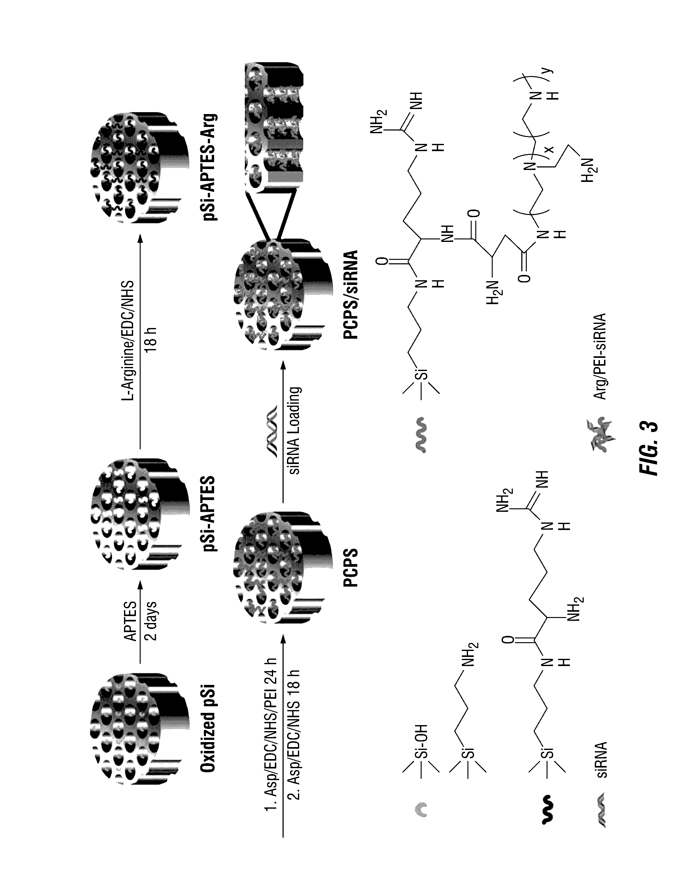 Polycation-functionalized nanoporous silicon carrier for systemic delivery of gene silencing agents