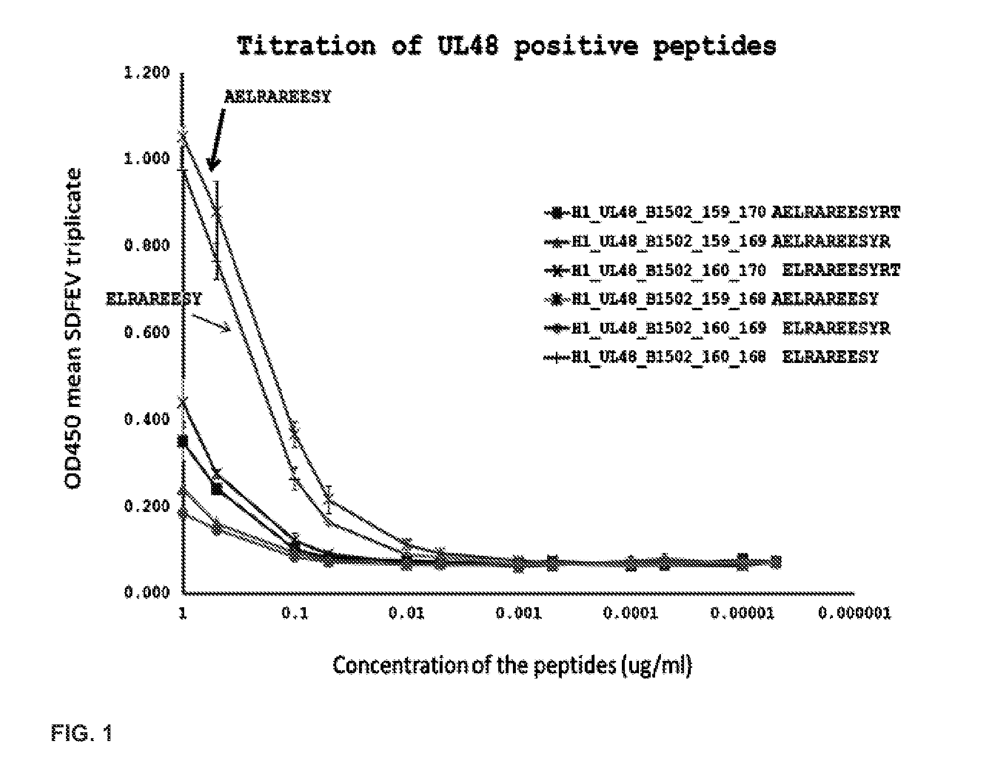 Epitopes cross-reactive between hsv-1, hsv-2 and vzv and methods for using same