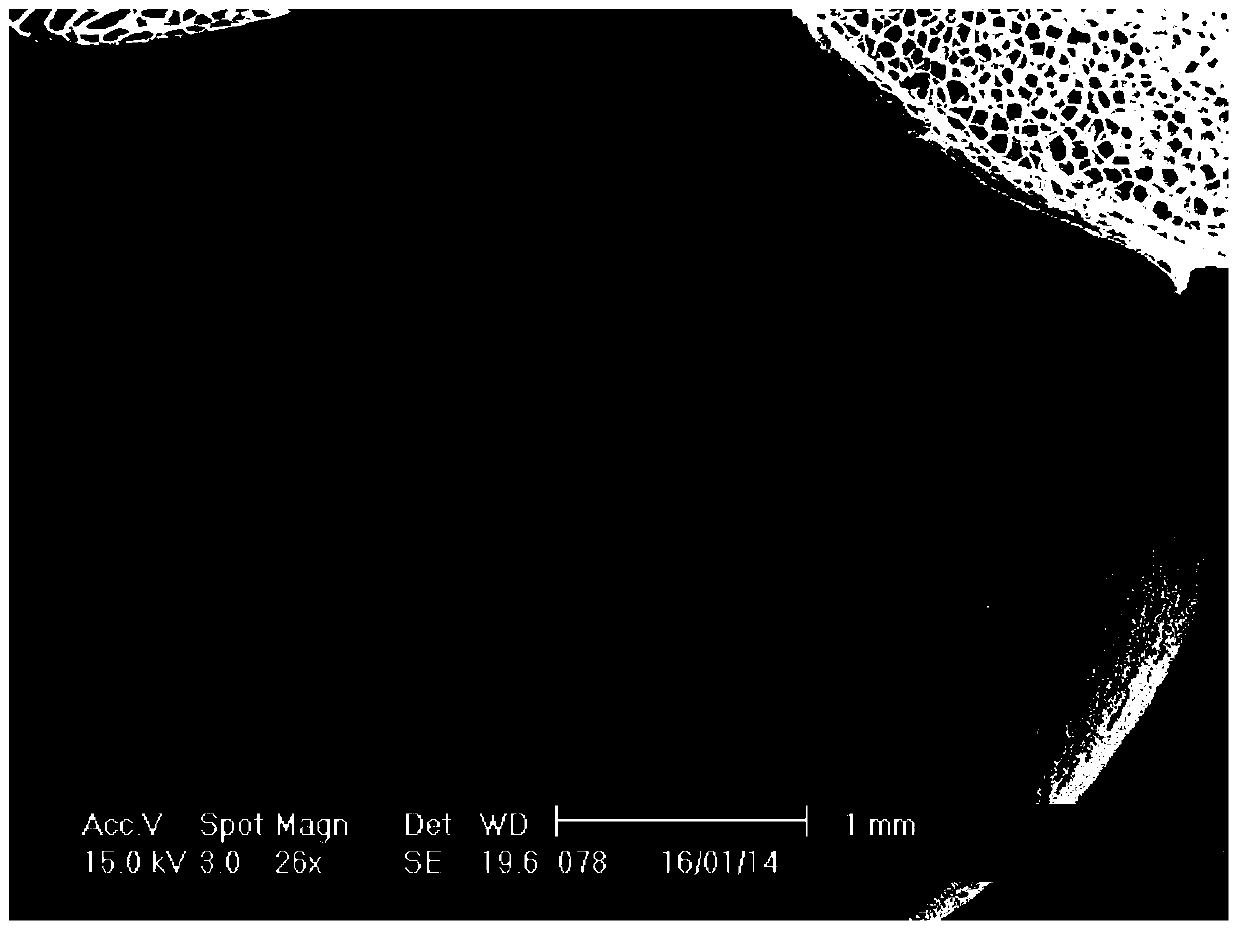 Flame-retardant antistatic polypropylene composition and expanded beads prepared therefrom