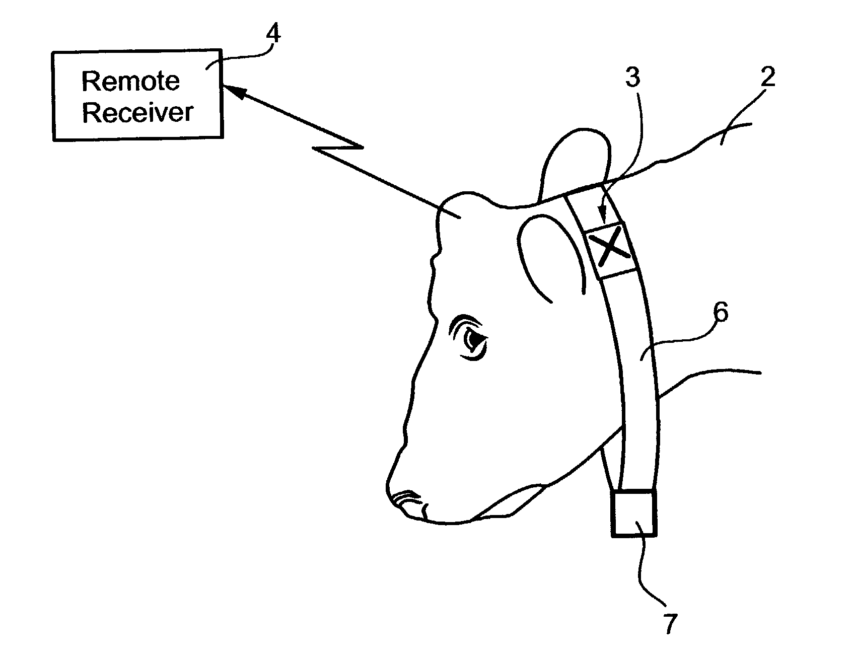 Method and system for monitoring physiological conditions of, and/or suitability of animal feed for ruminant animals