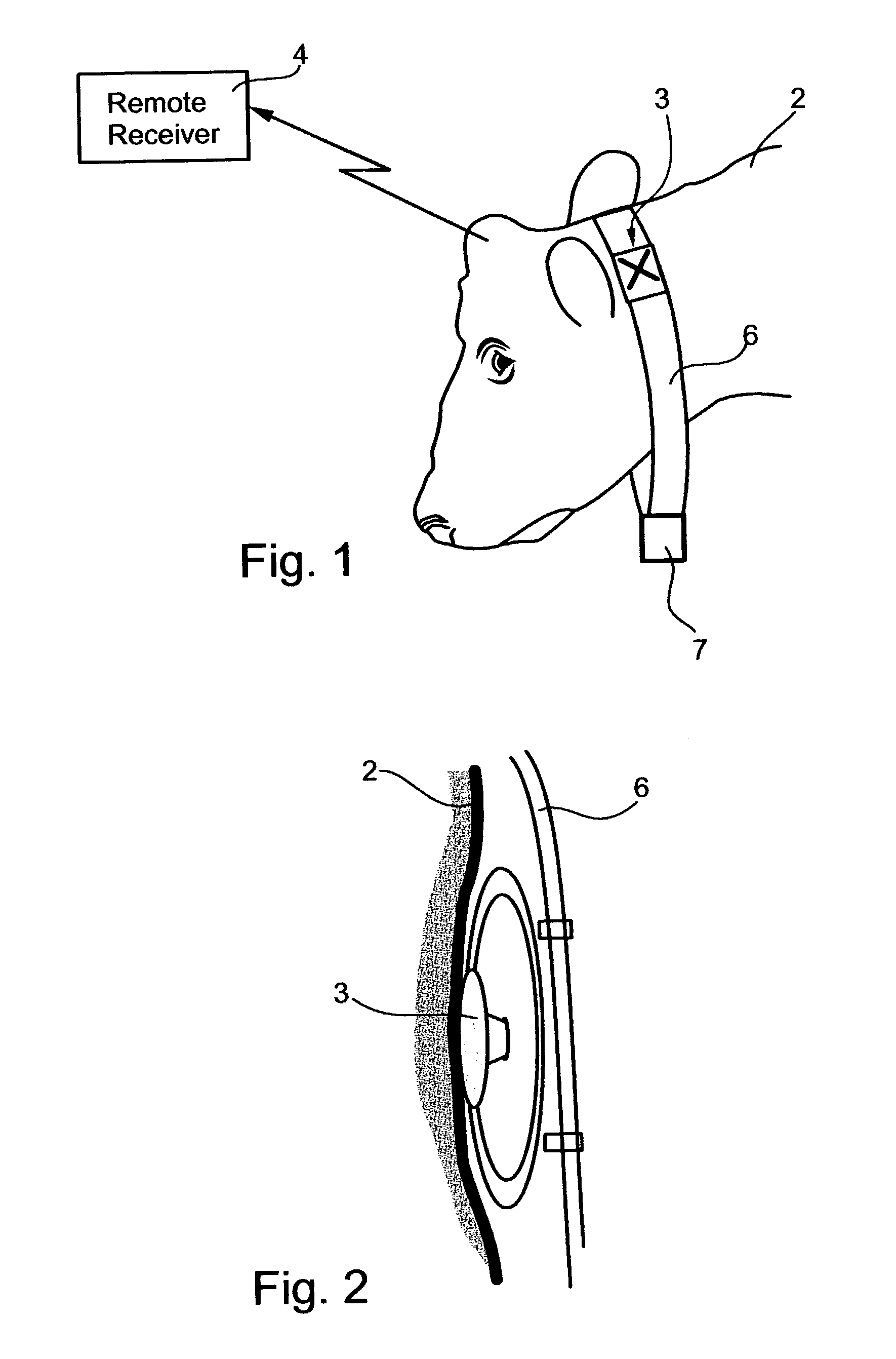 Method and system for monitoring physiological conditions of, and/or suitability of animal feed for ruminant animals