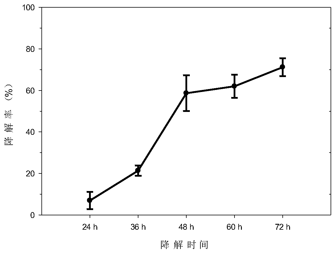 Erythromycin degrading bacterium RJJ-5 and application thereof