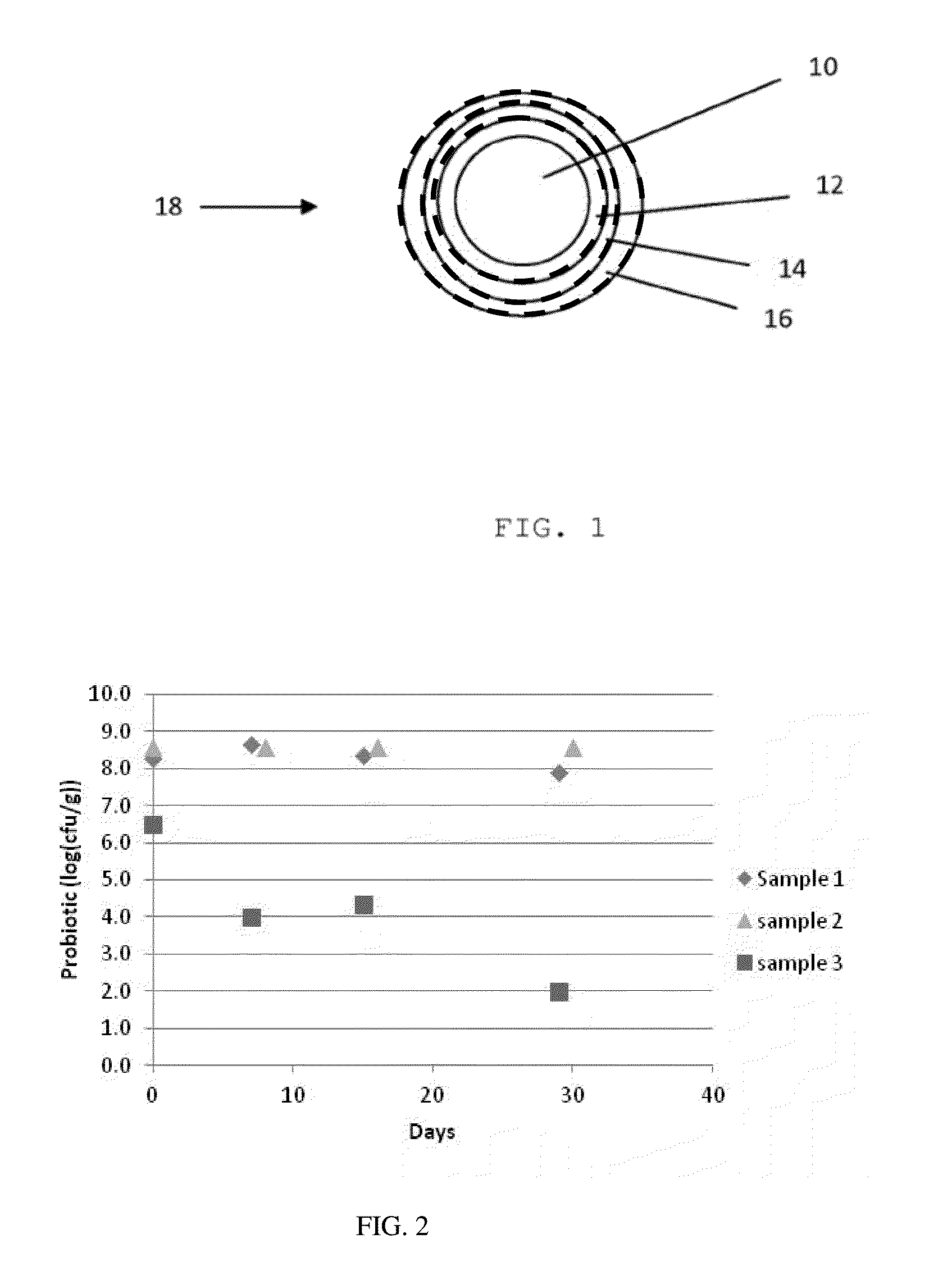 Pet food composition having probiotic bifidobacterium animalis