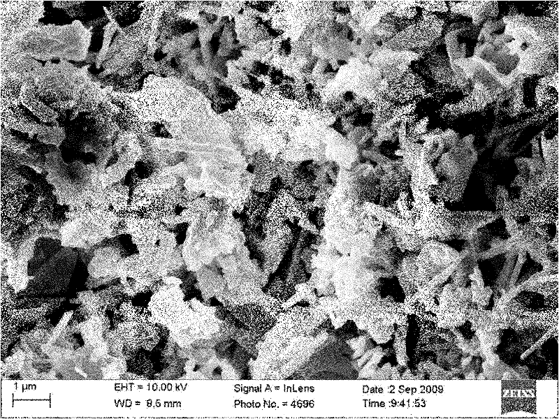 Technique for preparing wollastonite ultrafine powder from calcium silicate hydrate