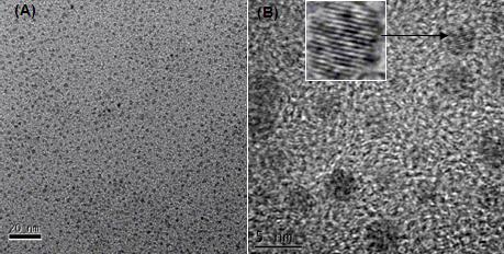 Method for extracting carbon quantum dots from activated carbon