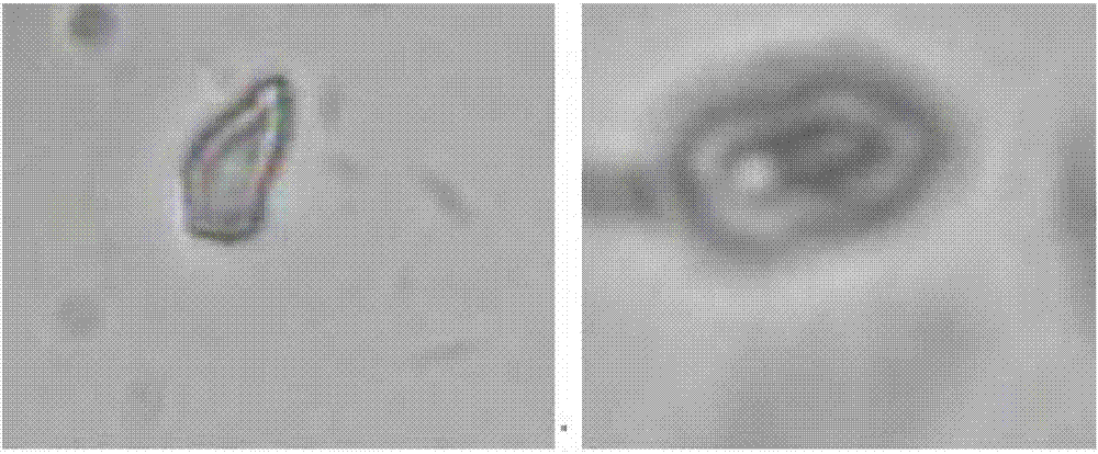 Anti-ultraviolet fabric, finishing method thereof, and anti-ultraviolet fabric product