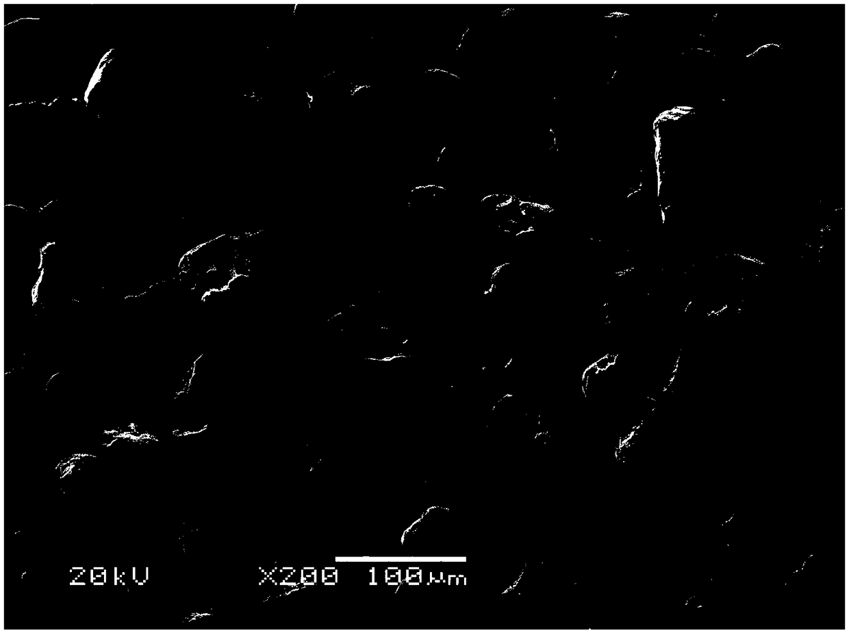 Refractory metal powder, preparing method thereof and metal product