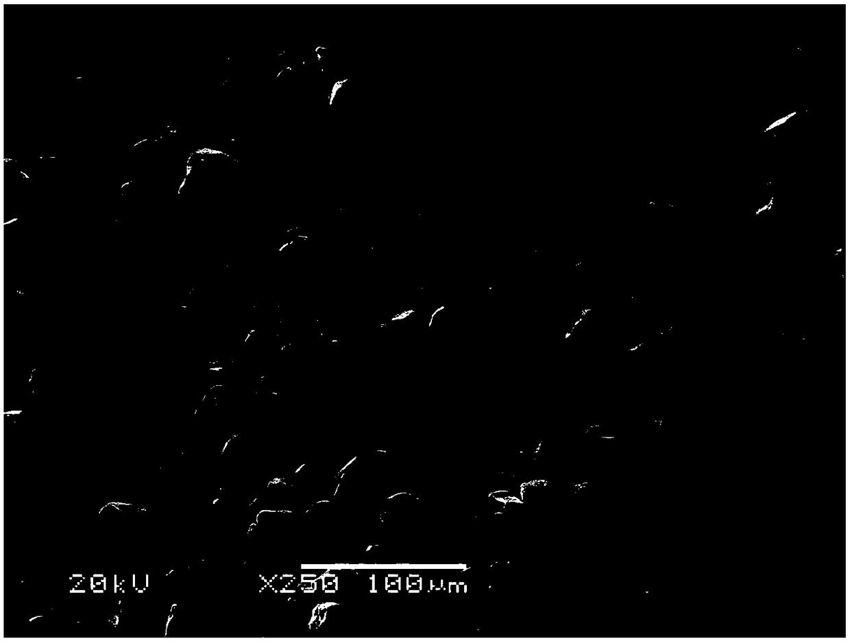 Refractory metal powder, preparing method thereof and metal product