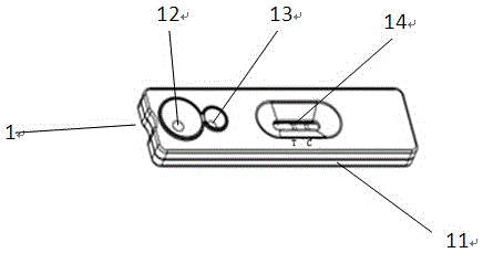 Chlamydia pneumoniae detection reagent card and kit and detection method