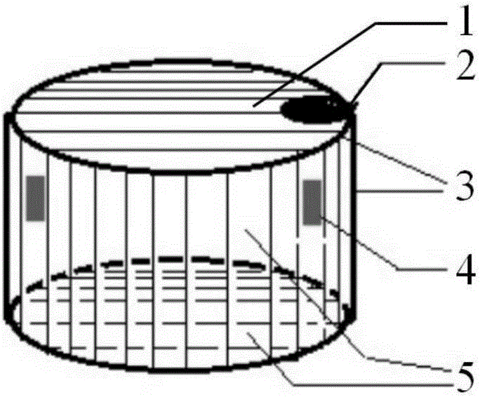 Environment-friendly preservation box and preservation method for instant fresh-cut fruits and vegetables