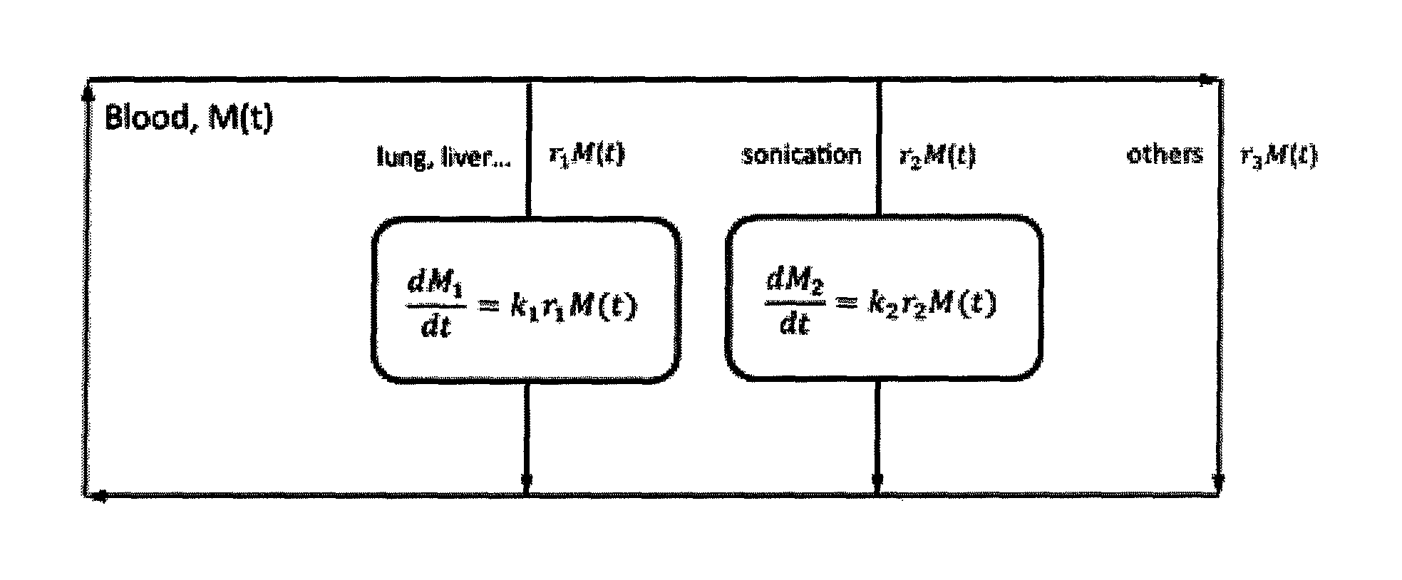 Method for quantifying drug delivery using contrast-enhanced ultrasound