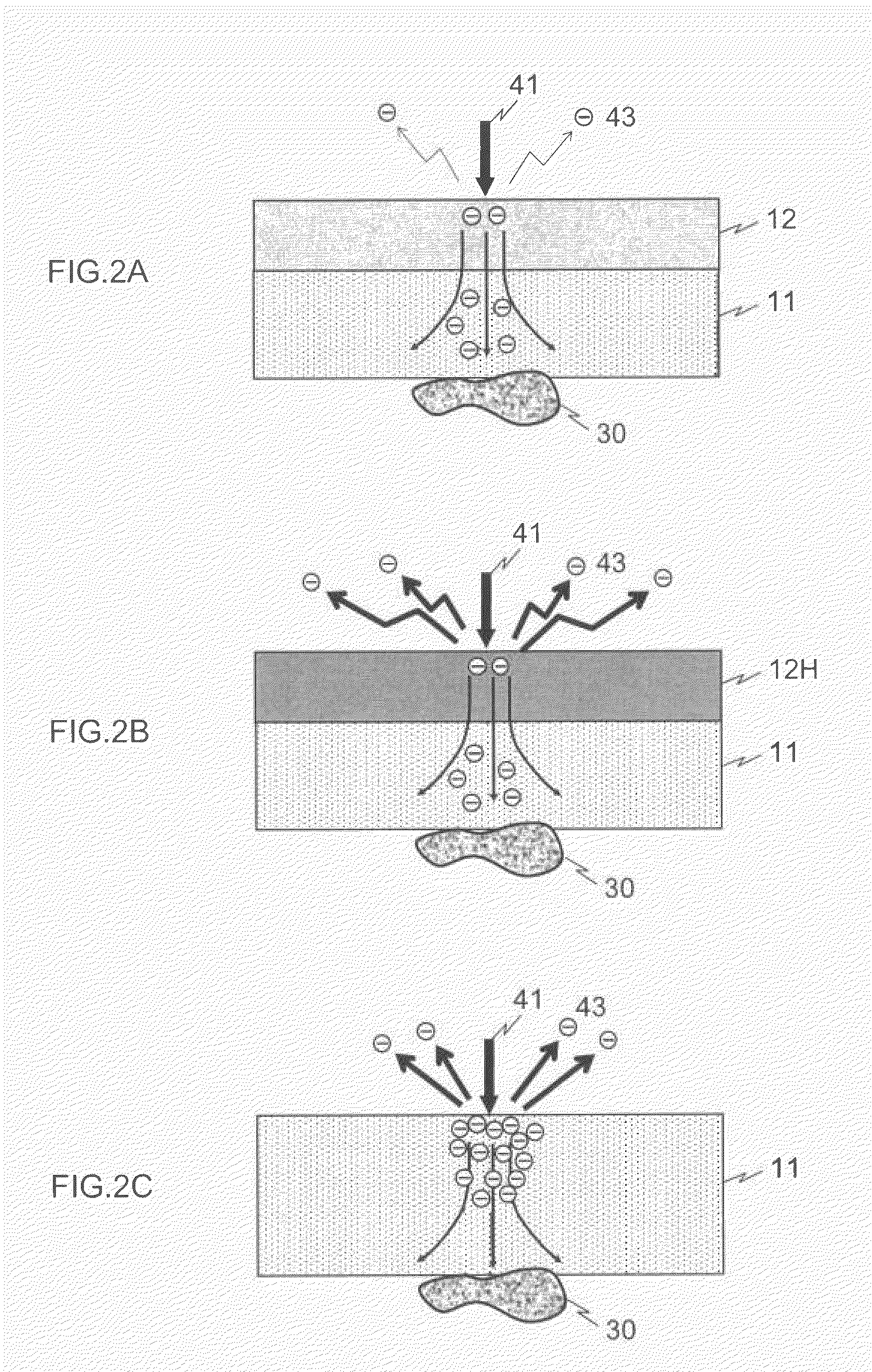 Sample holder and method for observing electron microscopic image