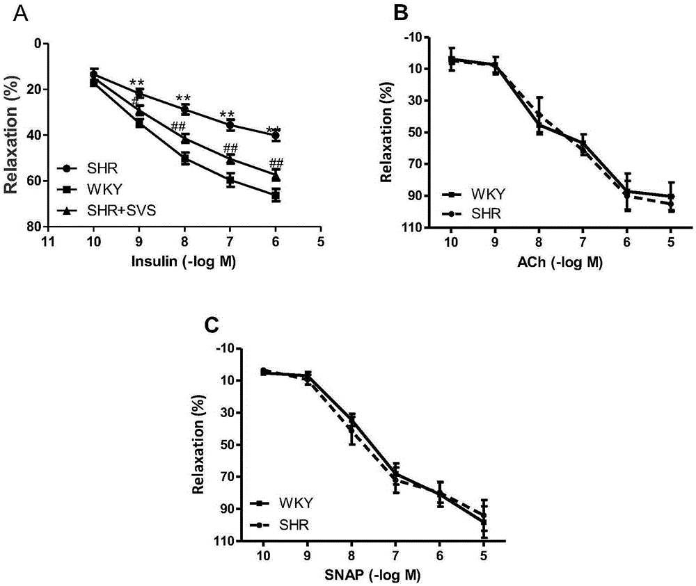 Application of stervioside in preparation of therapeutic drug and health product for prehypertension