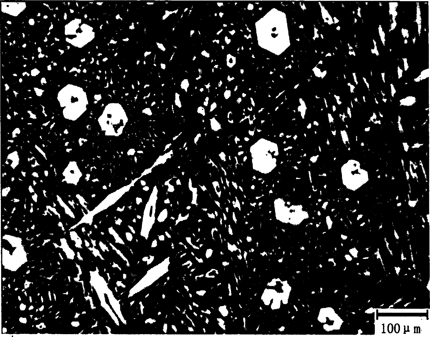 Low cost, high-wearability hypereutectic high chromium cast iron and its production method