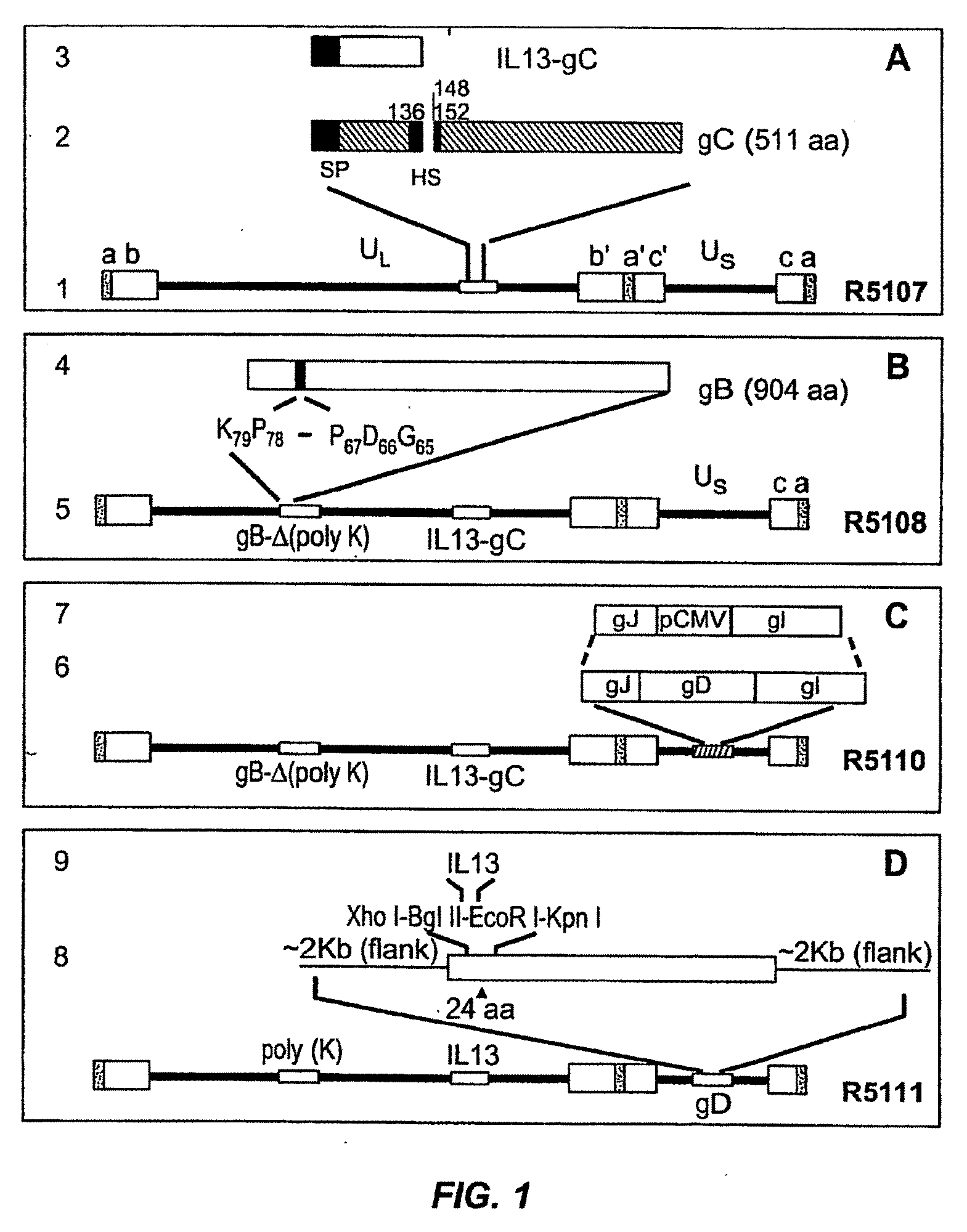 Targeting of herpes simplex virus to specific receptors