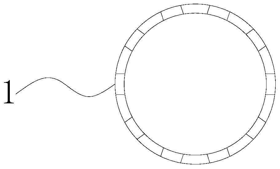 Combined anatomical titanium mesh fusion cage