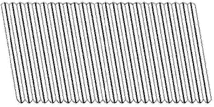 Spring coil and production method thereof