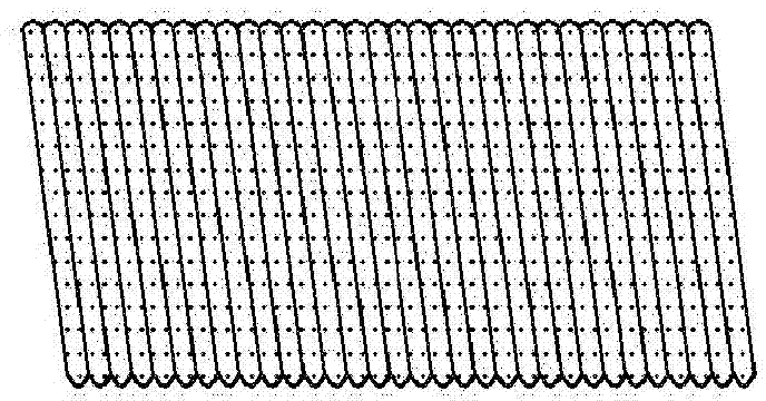 Spring coil and production method thereof