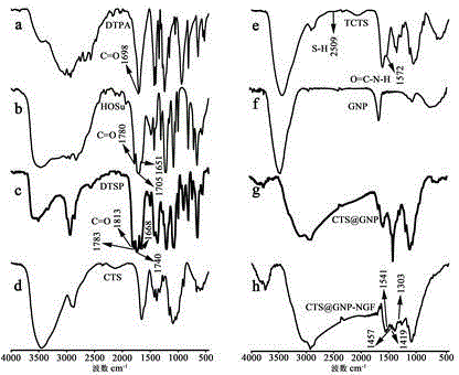 Gold nanoparticle complex with effect of inhibiting nerve cell apoptosis and application thereof