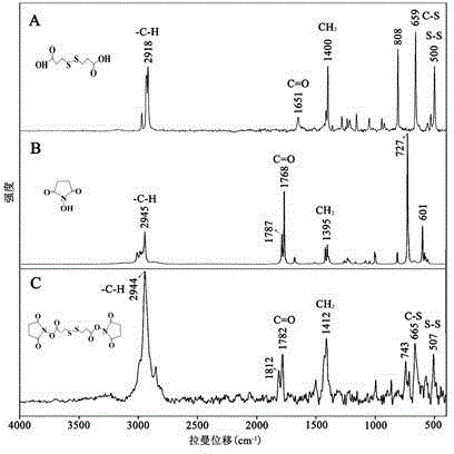 Gold nanoparticle complex with effect of inhibiting nerve cell apoptosis and application thereof