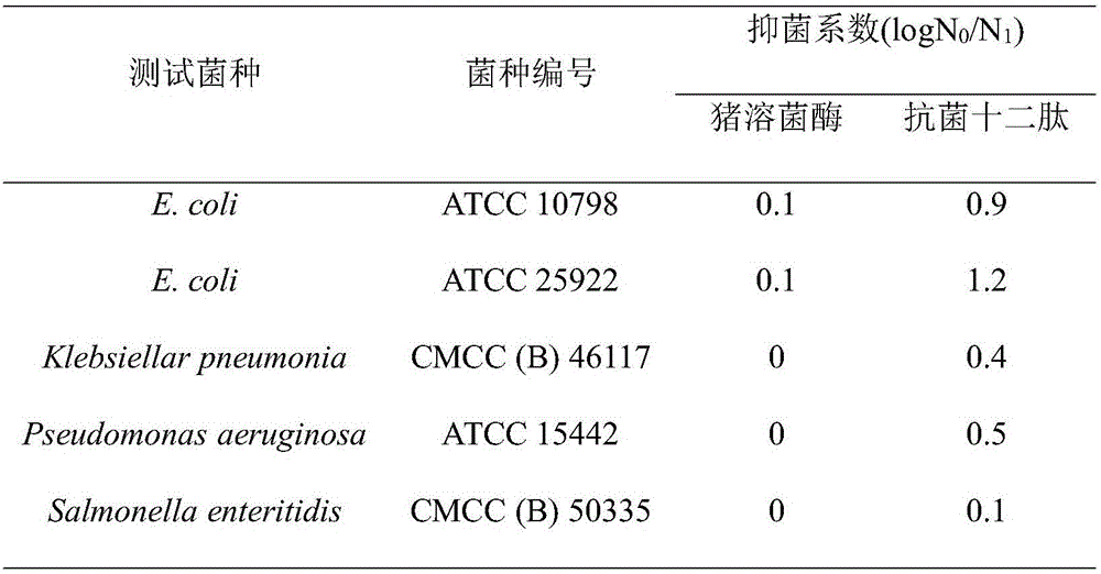 Feeding antibacterial dodecapeptide from pig lysozyme and preparation method of feeding antibacterial dodecapeptide