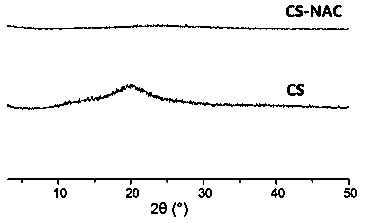 A kind of synthetic method of bioadhesive thiol chitosan