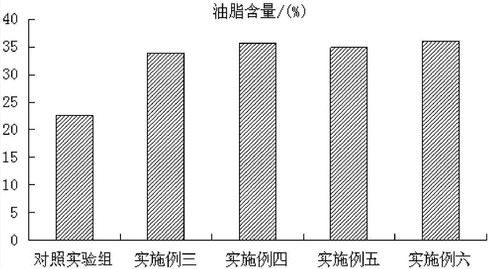 Culture method for chlorella pyrenoidosa