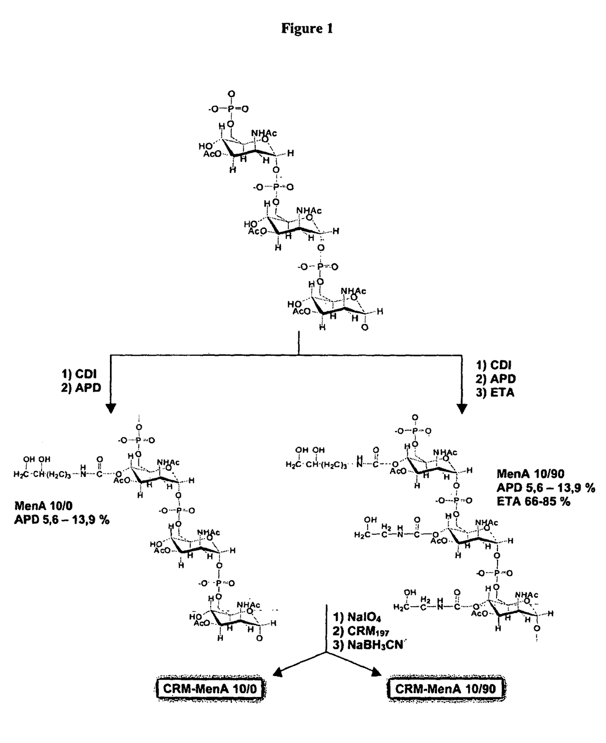 Modified saccharides