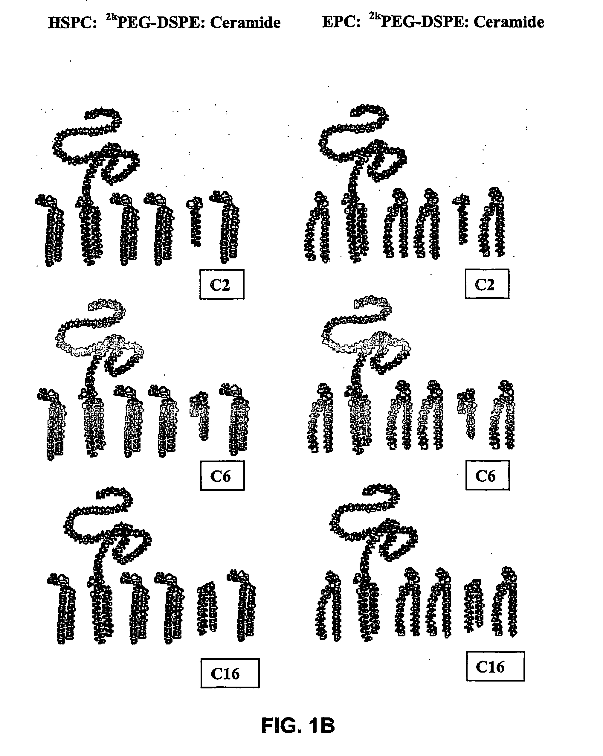 Stable liposomes or micelles comprising a sphinolipid and a peg-lipopolymer