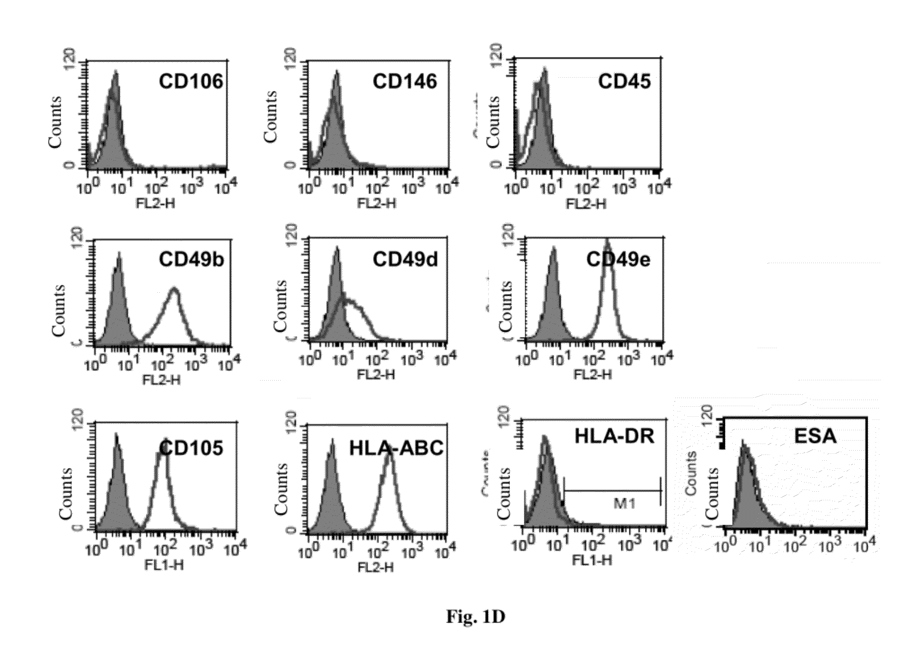 Cell population comprising orbital fat-derived stem cells (OFSCS) and their isolation and applications