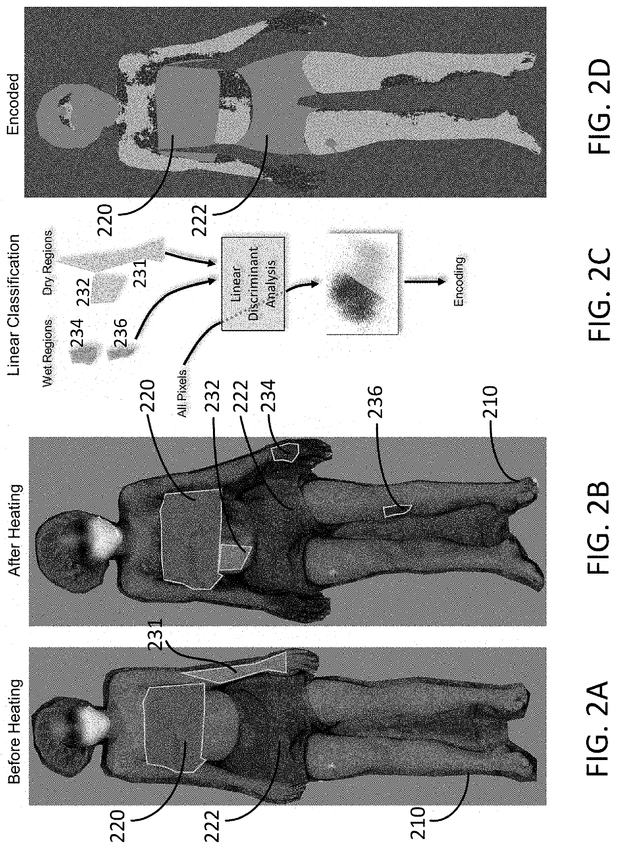 Systems and methods for thermoregulatory sweat testing