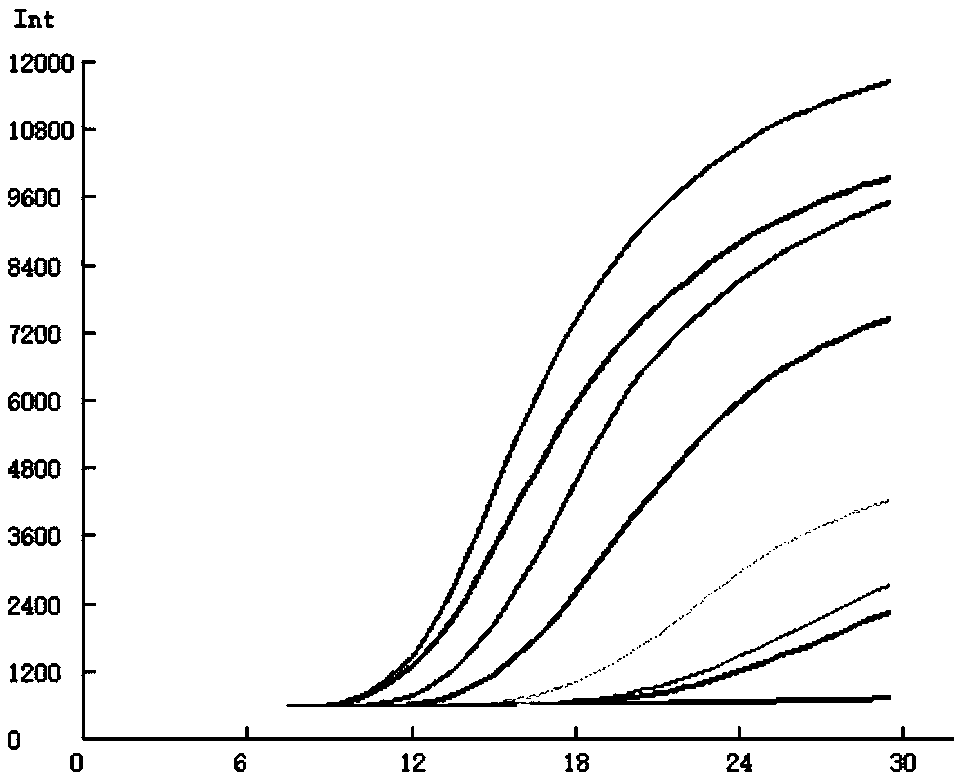 Feline coronavirus fluorescence EMA detection primer group, kit and detection method