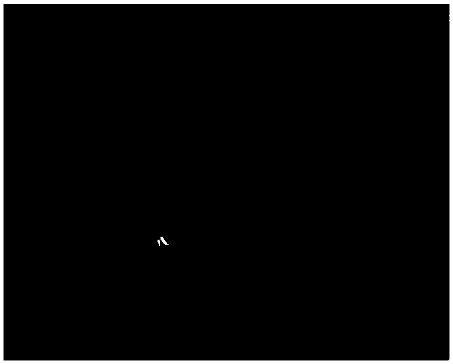 Preparation method of amphiphilic biodegradable drug-loading micelle