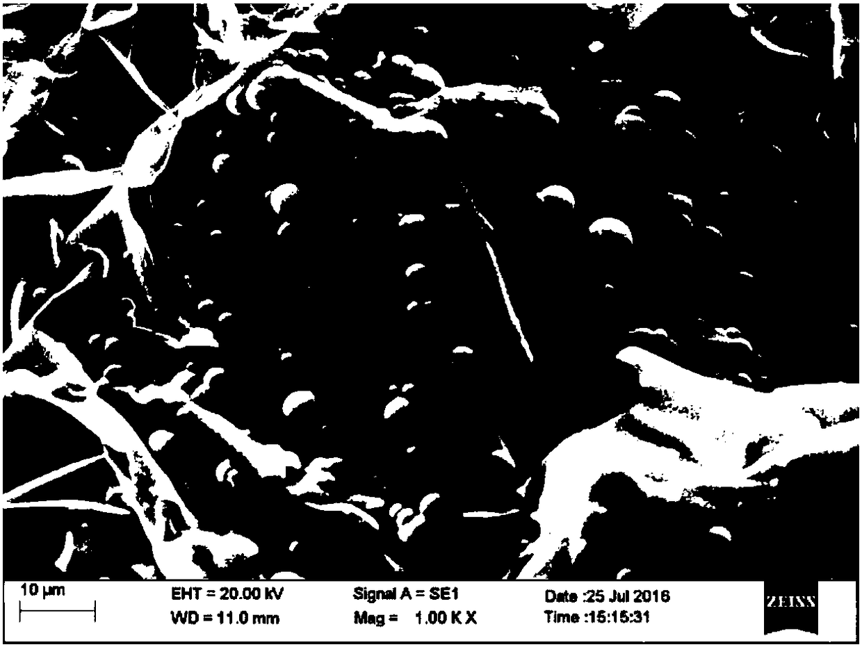 Controlled-release antibacterial dressing and preparation method thereof