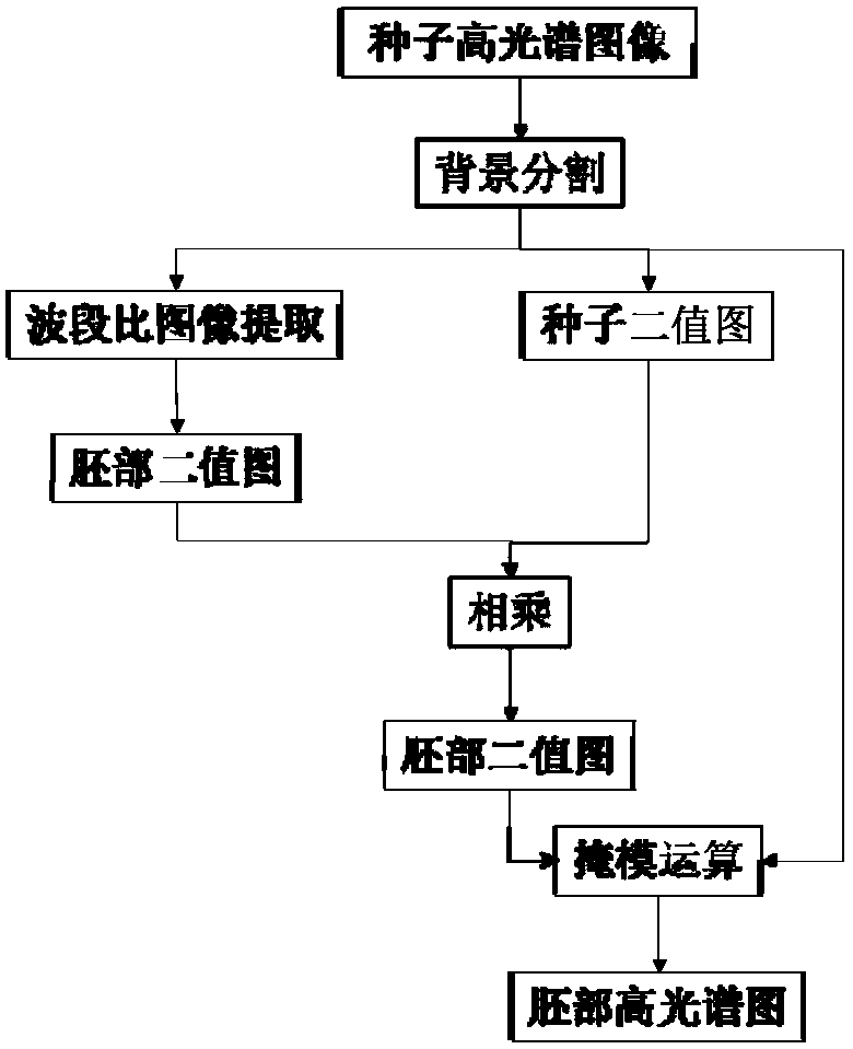 Segmentation method of corn germ in hyperspectral reflectance image based on band ratio method