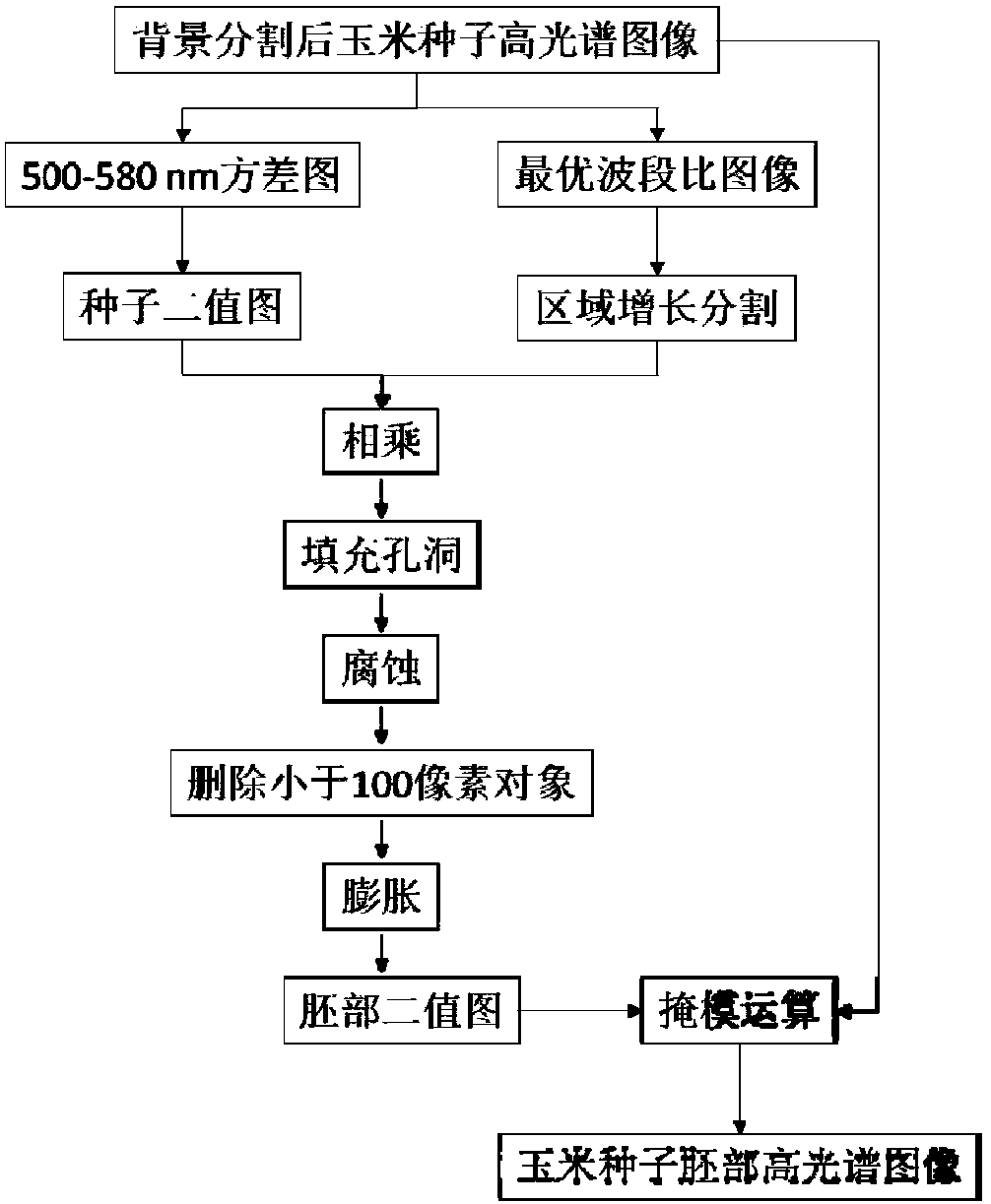 Segmentation method of corn germ in hyperspectral reflectance image based on band ratio method