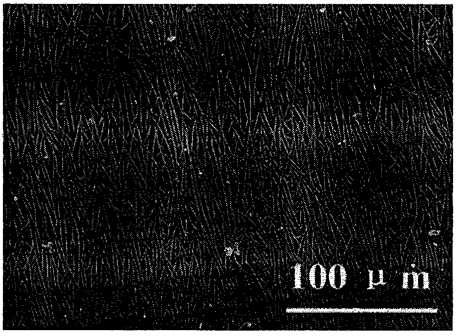 Method for arranging one-dimensional organic nano materials in orientating and patterning manner