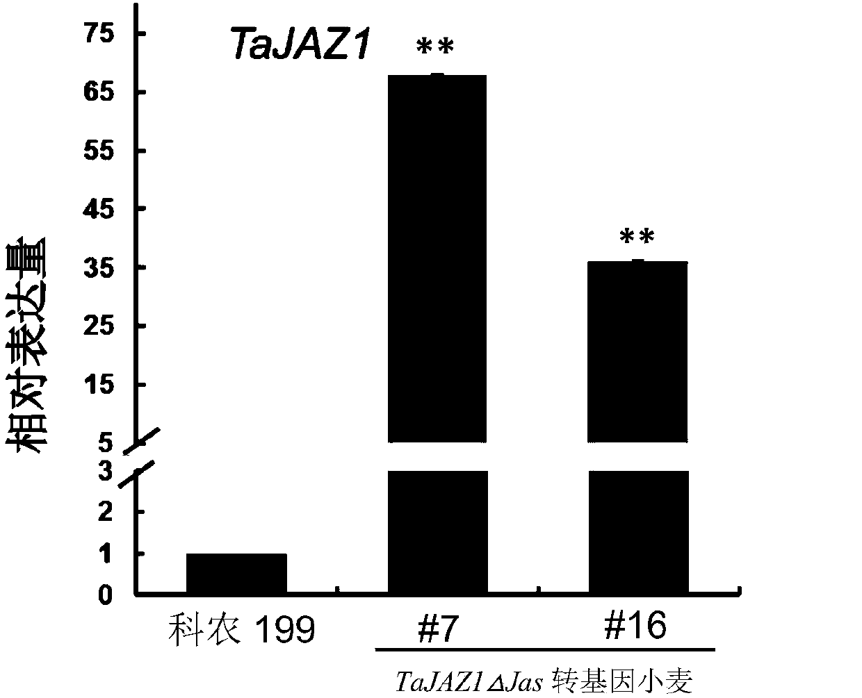 Wheat powdery mildew resistance gene and application thereof