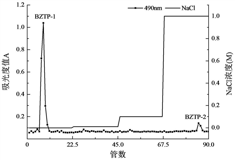 Rhizoma atractylodis macrocephalae polysaccharide capable of resisting alcoholic liver injury as well as preparation method and application of rhizoma atractylodis macrocephalae polysaccharide