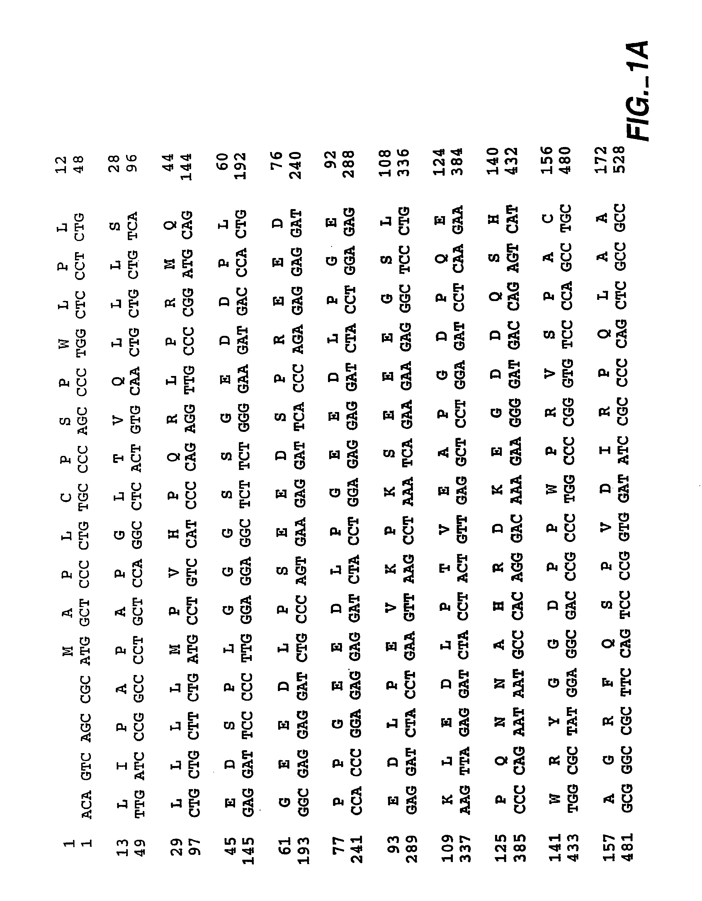 Soluble Form of Carbonic Anhydrase IX (s-CA IX), Assays to Detect s-CA IX, CA IX's Coexpression with HER-2/neu/c-erbB-2, and CA IX-Specific Monoclonal Antibodies to Non-Immunodominant Epitopes