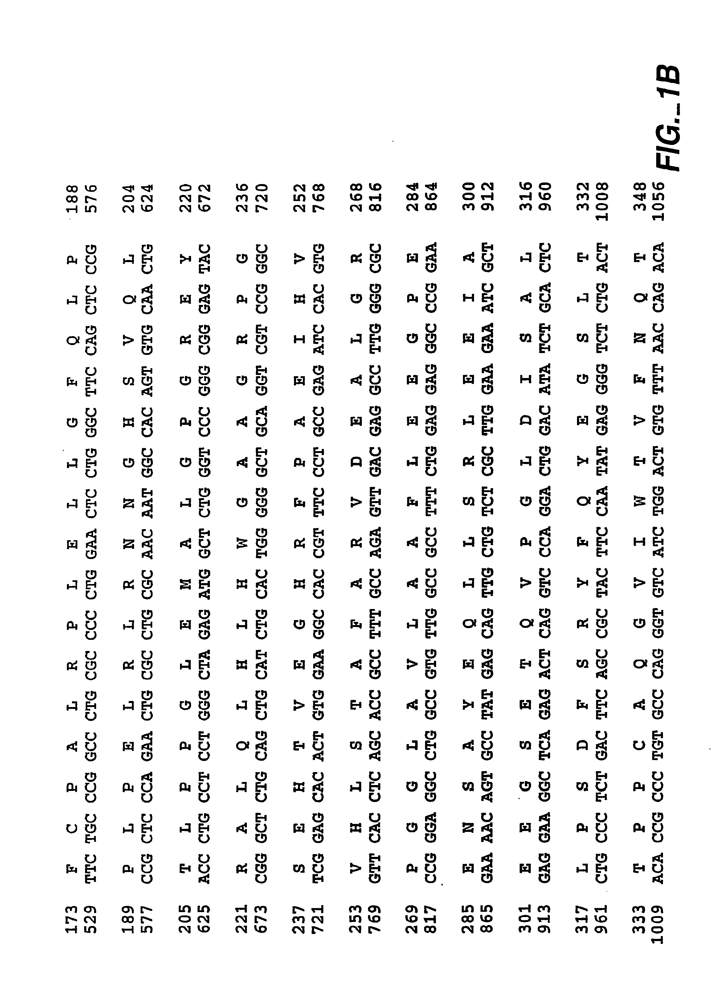 Soluble Form of Carbonic Anhydrase IX (s-CA IX), Assays to Detect s-CA IX, CA IX's Coexpression with HER-2/neu/c-erbB-2, and CA IX-Specific Monoclonal Antibodies to Non-Immunodominant Epitopes