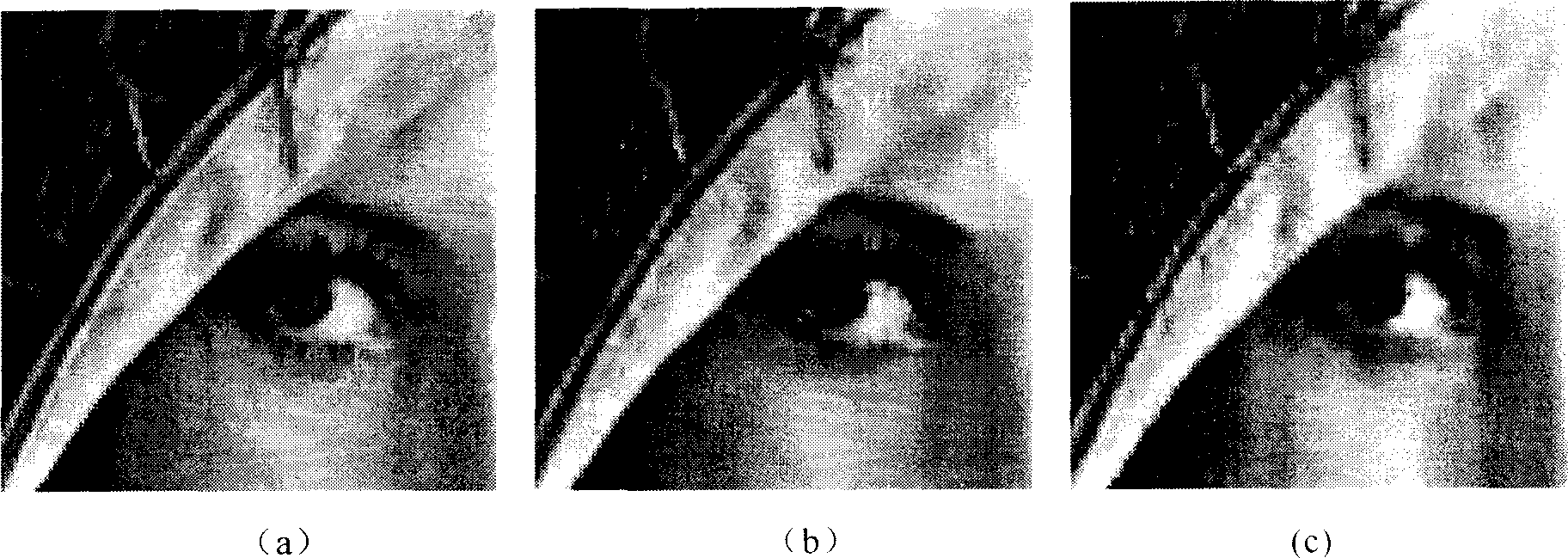 Static colour image compression method JPC3D based on 3D-DCT and in frame prediction