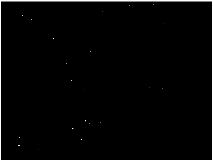 Recombinant adenovirus carrier for expressing African swine fever virus B646L gene, construction method and preparation method of recombinant adenovirus