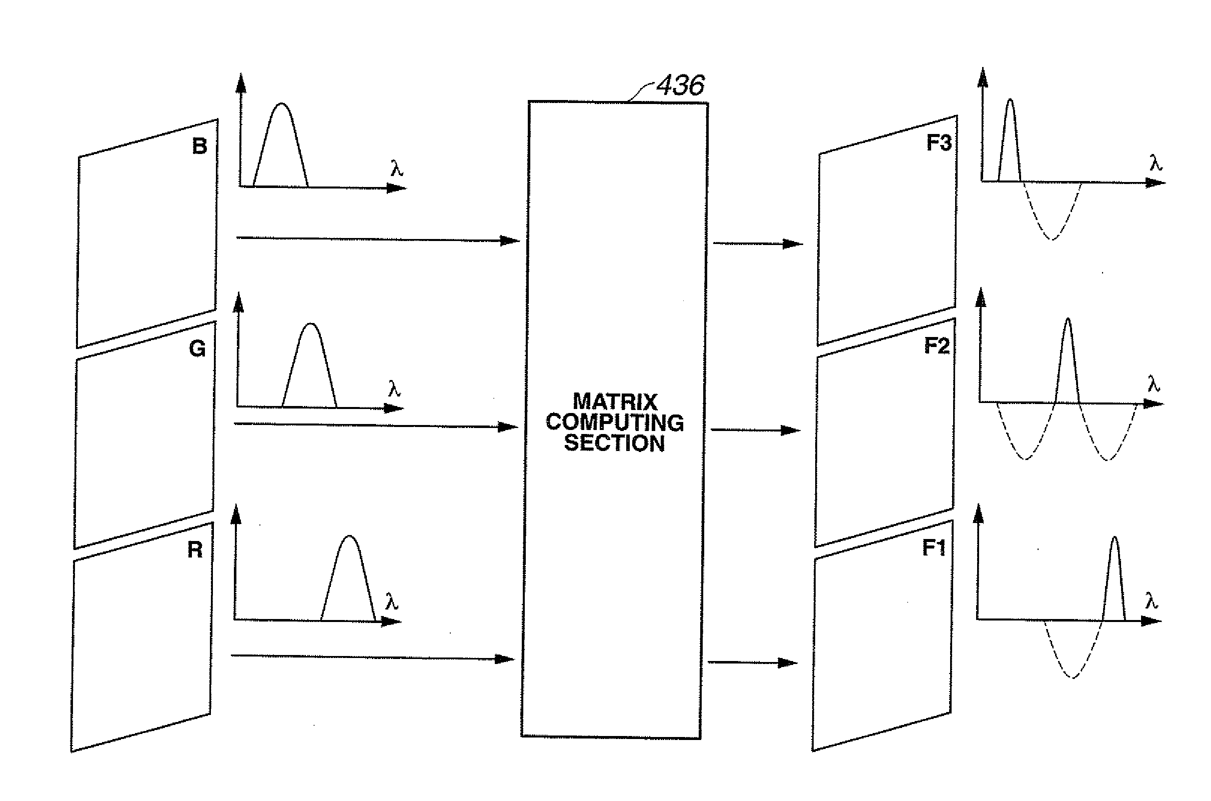 Biological observation apparatus