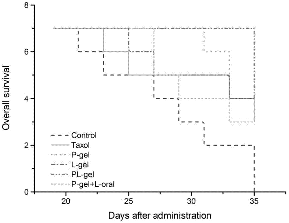 A gel injection combining molecular targeted drugs and cytotoxic drugs