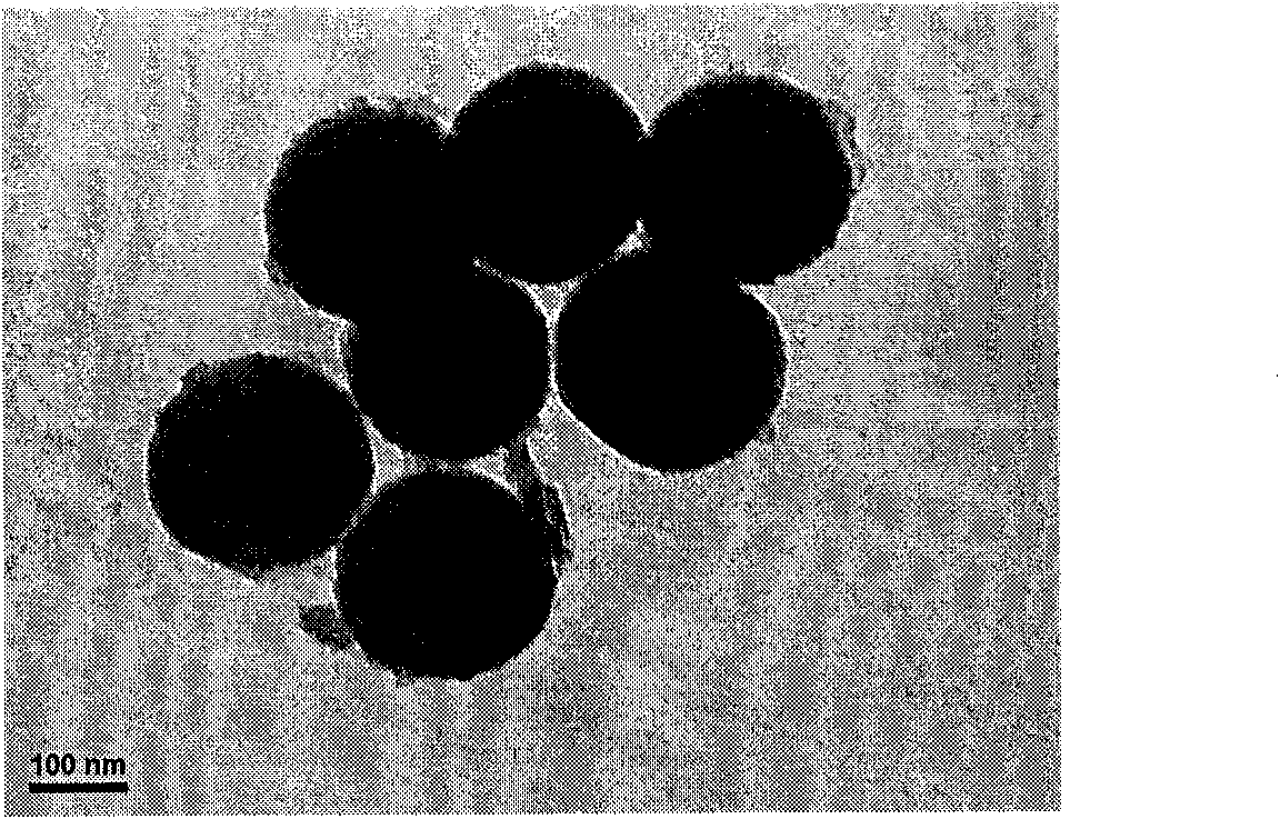 Fluorescent conjugated polymer silicon oxide nanoparticle preparation method and application thereof