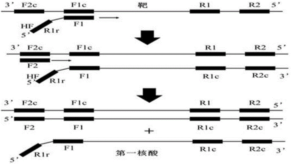 Method for synthesizing nucleic acid under constant-temperature condition