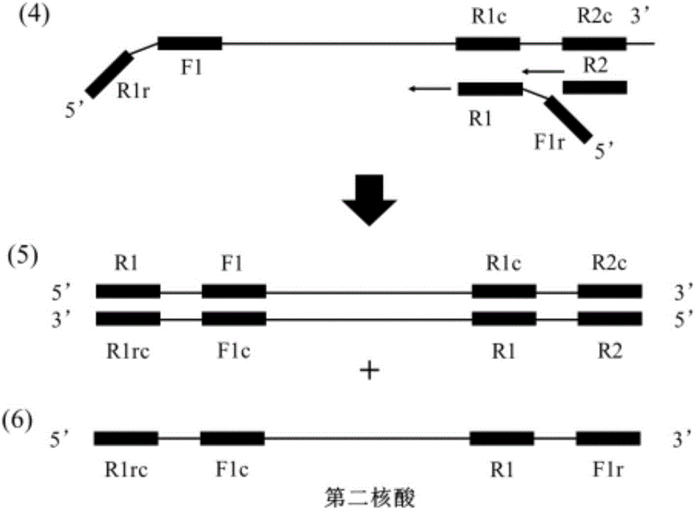 Method for synthesizing nucleic acid under constant-temperature condition